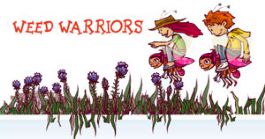 NSW Weed Warriors program update