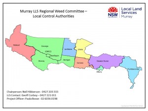 MurLLS RWC map